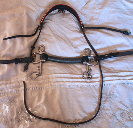 Fourth step in creating a human pony bridle from a horse bridle. Thread the cheekpieces through the clips on both sides of the bit.