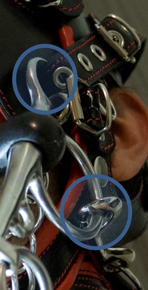 A good bridle for ponyplay will allow attachment of the bit via both a strap around the back of head and a strap around the top or crown of the head