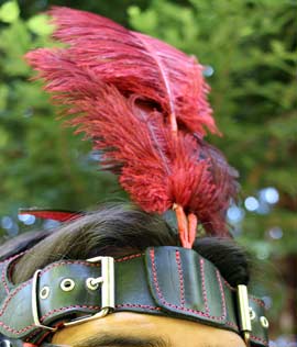 Me wearing the csara bridle with ostrich feather plume