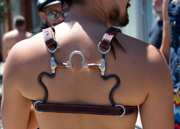 Harness attached with a horse bit at Dore 2017