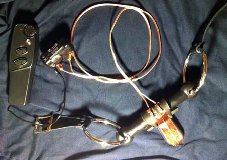Overview of the working prototype eletrified bit gag.