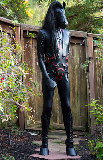 Me in my new Fantasy Leather harness with red trim