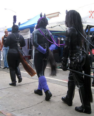 Pony play team carting in action at Folsom Street Fair 2012. These three human ponies are pulling Mistress Liliane Hunt.