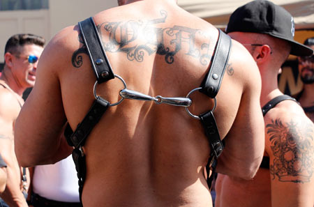 Chest harness attached with horse bit