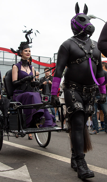 House of Hunt pony Hexx at Folsom 2014