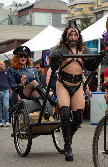 Sparky pony pulling Athena during the cavalcade at Folsom 2014
