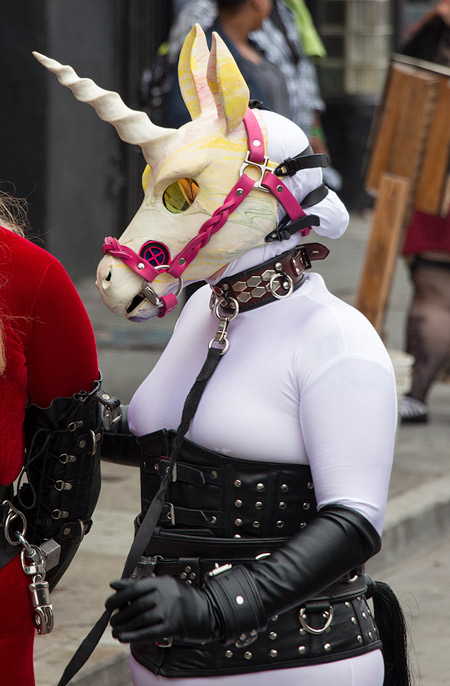 A unicorn holding someones reins