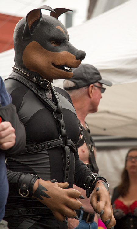 An unknown playful puppy at Folsom 2014