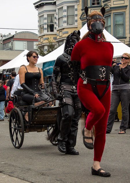 Windy pony during the cavalcade at Folsom 2014