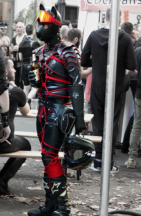 Awesome red puppy at Folsom Europe 2016