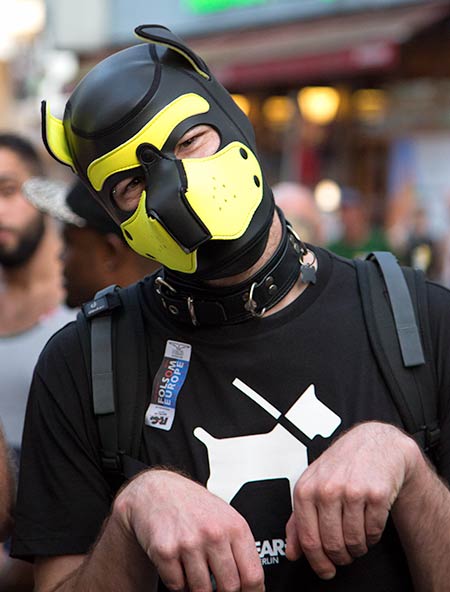 Yellow puppy at Folsom Europe 2016