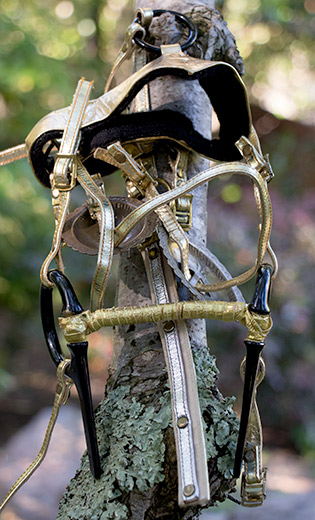 A gold colored show bridle. This model bridle was featured in a Ken Marcus ponygirl photo shoot used for cover of Equus Eroticus magazine.