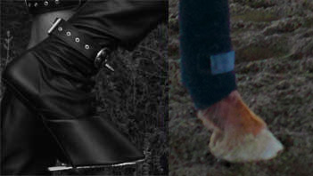 The Reactor Rubber hoof boot bottom portion (left) looks very similar to an actual horse hoof (right)