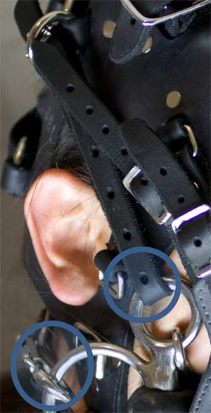 The JGL ponyplay bridle also permits attachment of the bit via both a strap around the back of head in addition to a strap around the top or crown of the head. This arrangement holds the bit more securely in a ponyboys mouth and also allows for proper curb action