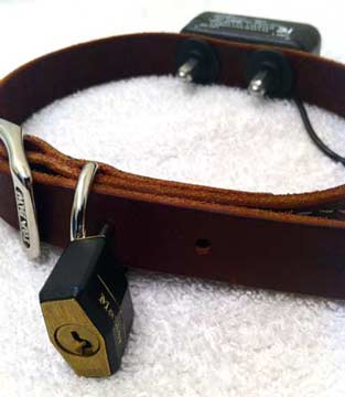 A standard leather dog collar made lockable by simply adding a padlock through the first hole after the retainer. Livestock hobbles can be made lockable in a similar manner albeit with a larger padlock. The collar pictured also has a shocking unit added.