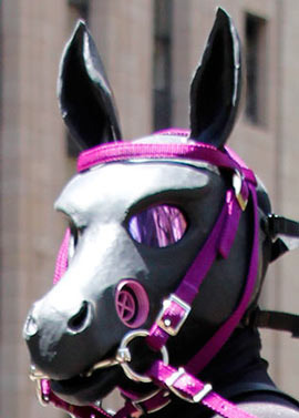 A pony from the House of Hunt at the 2013 SF Pride Parade wearing a wild gas masks horse head