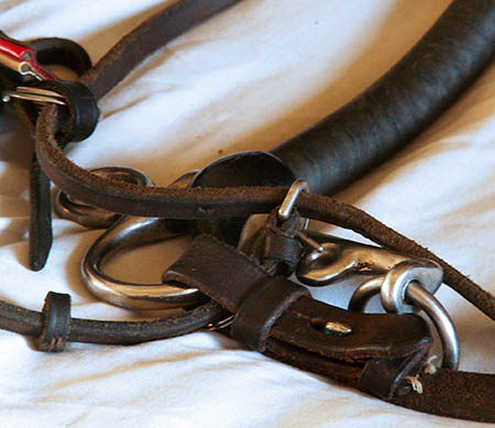 Close up view of the bit and reins showing how to thread the cheekpiece connections through.
