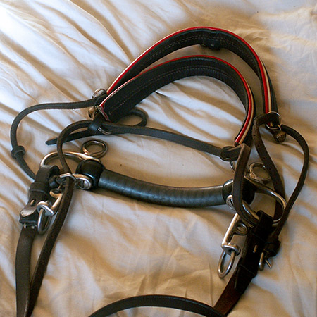 The finished bridle after all the 5 steps have been completed. It should now be ready for the human head.