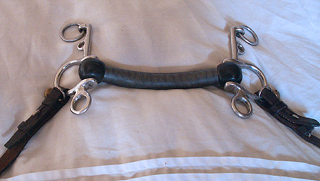 Third step in adapting a bio-horse bridle to human pony use. Reattach the reins to the bit rings.