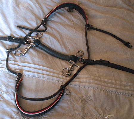 Fifth and final step in converting the bio-horse bridle into a human sized bridle. Thread the spare browband onto the cheekpieces for additional security.