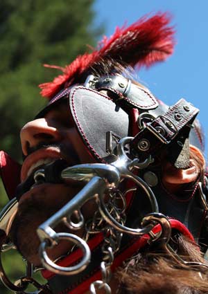 Me wearing the red show bridle with plume and rubber bit port