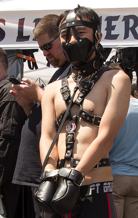 A guy in pretty serious bondage at 2014 Dore Alley. He is wearing a bondage harness, collar, cuffs, leather fist mitts, and tight muzzle gag, yet you can see the smile in his eye.