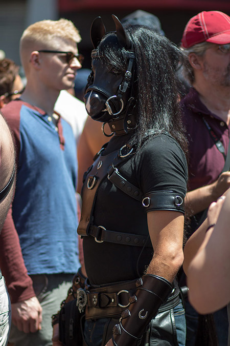 One of the few ponies at Dore Alley 2014. His tack is awesome.