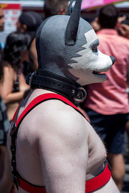 A cool puppy with painted rubber mask at Dore 2014