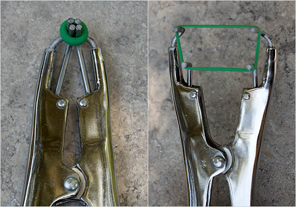 Green rubber elastrator band on the tip of the band pliers. In the left pane, the band has not been opnened. In the right pane, the pliers have been squeezed and the band has expanded open