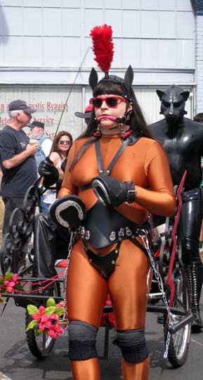 A ponygirl pulling a cart in an orange catsuit
