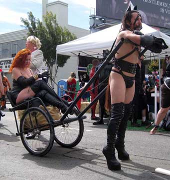 A ponyboy pulling his Mistress in a cart wearing ballet style hoof boots. He pulled the cart through several circuits of the fair wearing them, which is very impressive
