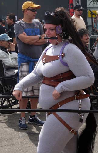 A ponygirl with purple blinders pulling a cart