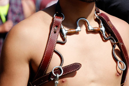 Wearing a bridle as a chest harness