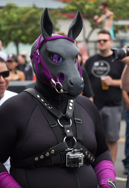 A purple pony at Folsom 2014