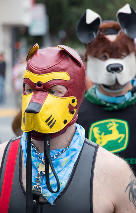 Coloful pup at Folsom 2014