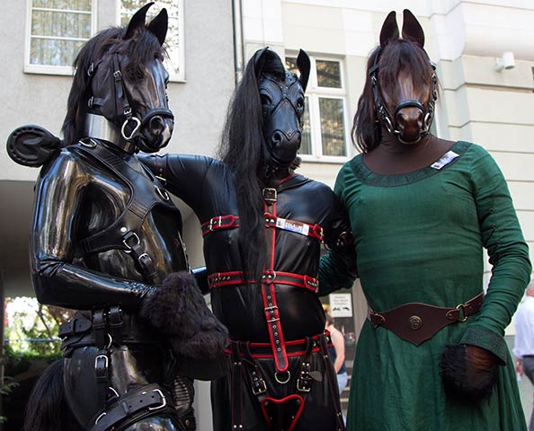 Three of the four ponies at Folsom Berlin