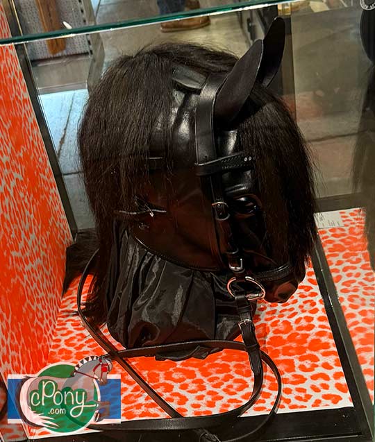 Fury Fantasy horse hood on display