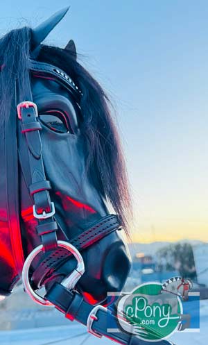 Fury Fantasy horse leather horse head