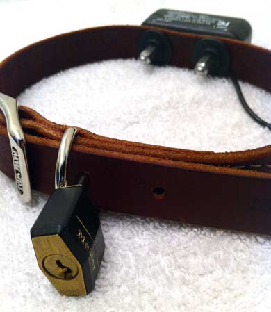 A lockable shock collar is easily made by punching two holes in a standard leather dog collar and transferring the shocking unit. A luggage lock prevents the unbuckling of the collar.