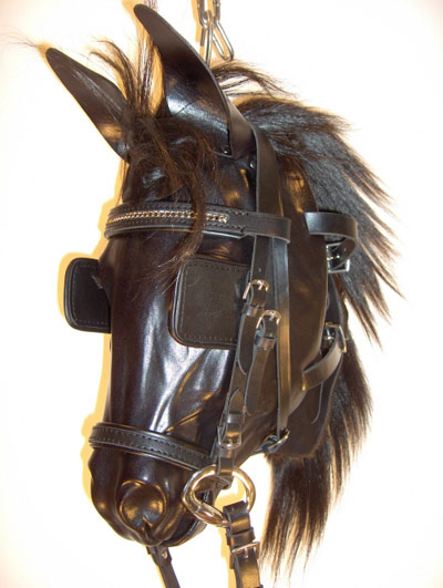 Another photo of a horse head mask by Fury Fantasy - the blinders are a great touch