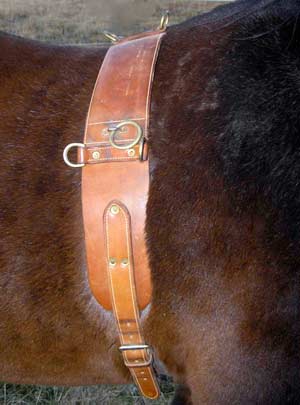 Bio-equine wearing a surcingle